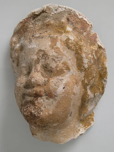 Head