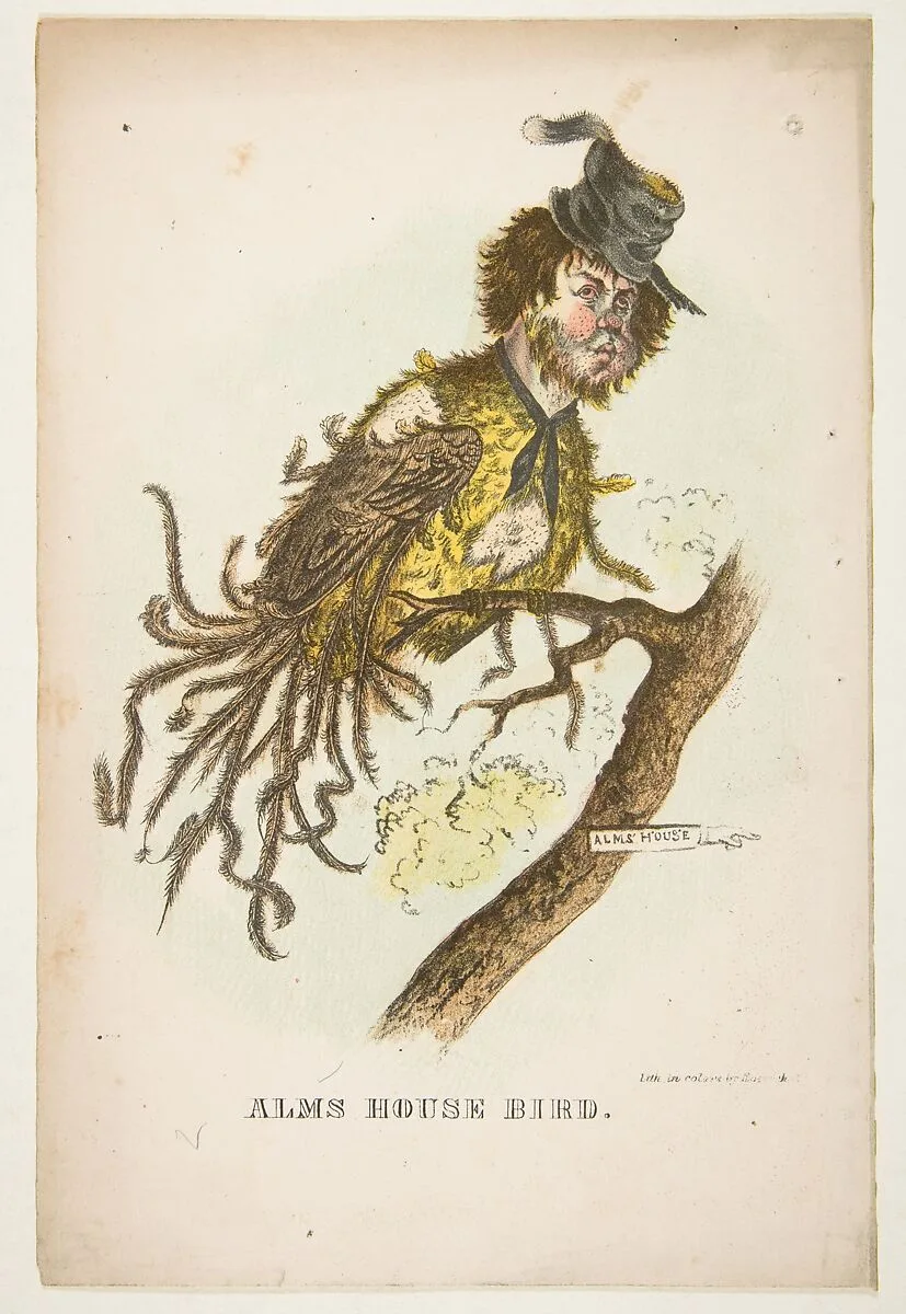 Alms House Bird, from The Comic Natural History of the Human Race — Samuel Robinson|Henry Louis Stephens|Rosenthal