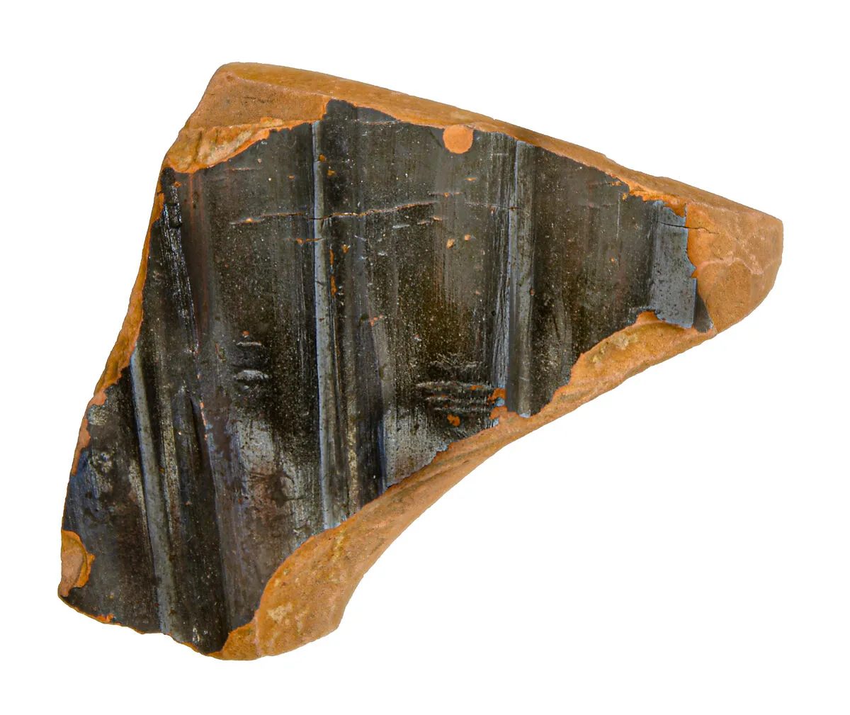 Volute-krater fragment — Unknown