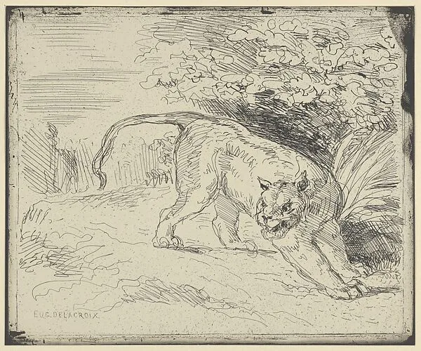 Tiger at a Standstill — Eugène Delacroix|Maurice Le Garrec