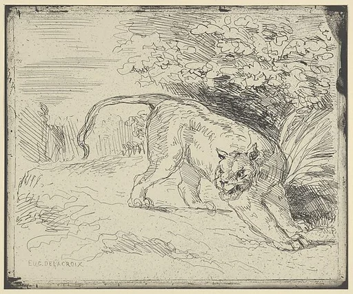 Tiger at a Standstill