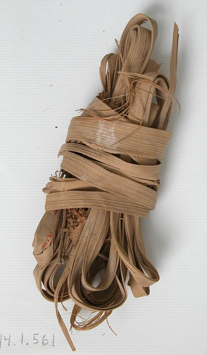 Twist of a Palm Leaf — Unknown