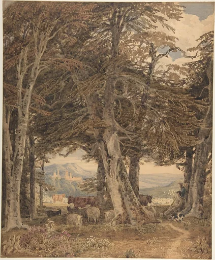 Cattle and Sheep at Resting at the Edge of a Forest
