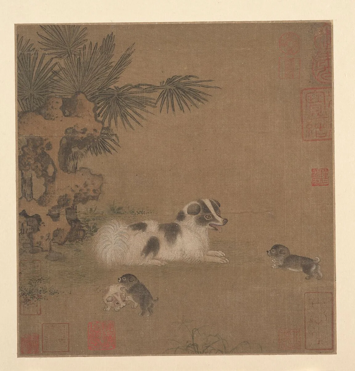 明 佚名 犬戲圖 冊頁|Puppies Playing beside a Palm Tree and Garden Rock — Unidentified artist