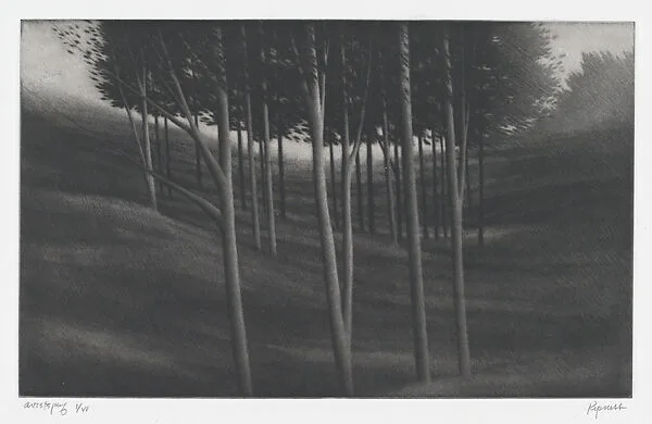 From White Hollow Road — Robert Kipniss