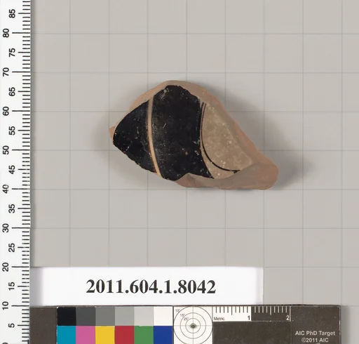 Terracotta fragment of a kylix (drinking cup)
