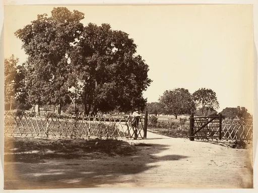 [View of Garden]