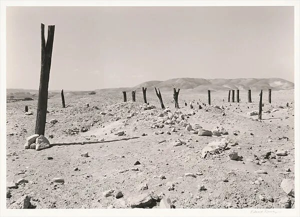 Nazca Valley, Peru — Edward Ranney