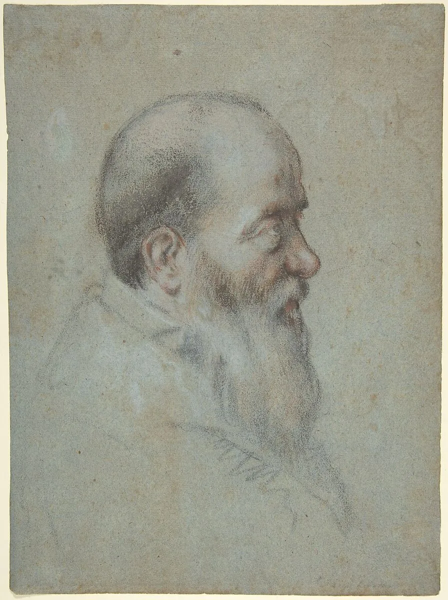 Bust of a Bearded Old Man, Profile to Right — Carletto Caliari