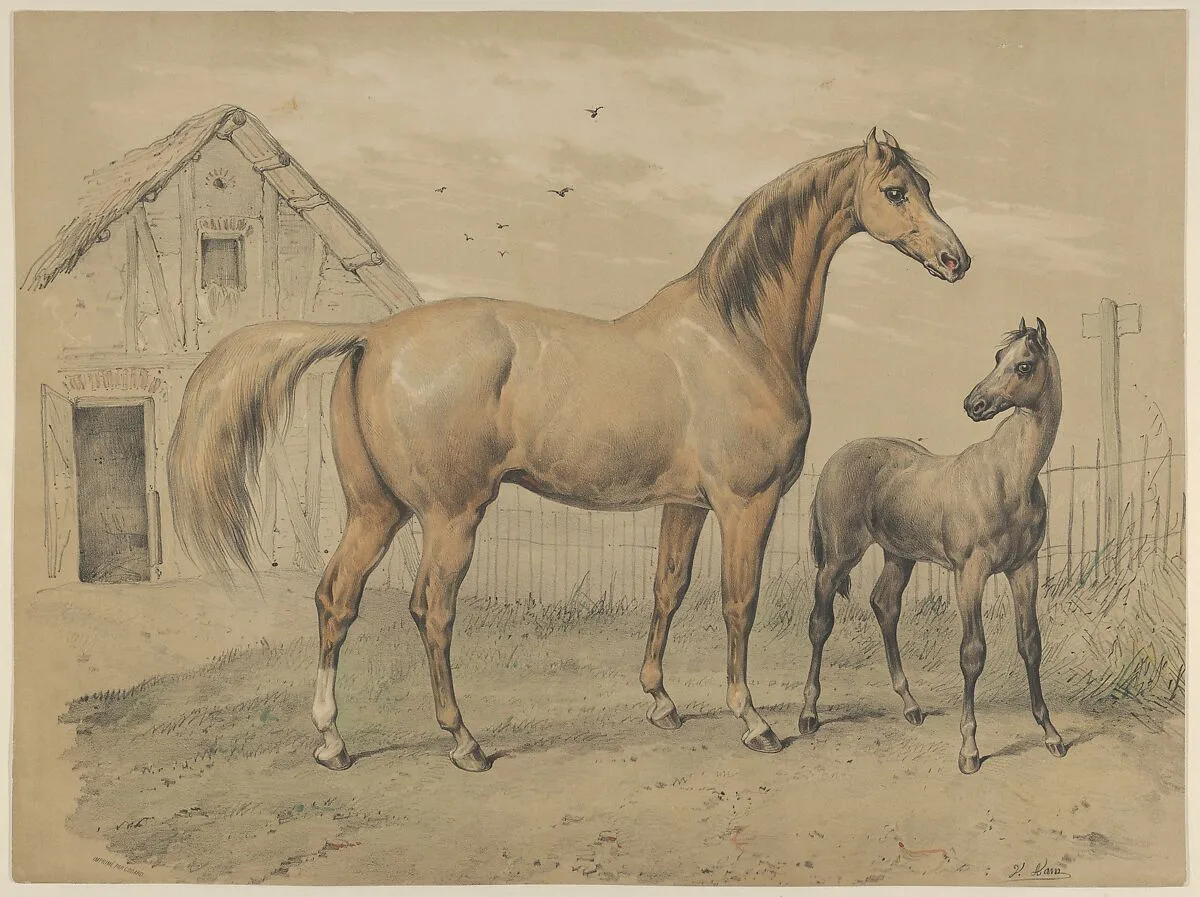 Mare and Foal — Victor Adam|Godard, Paris