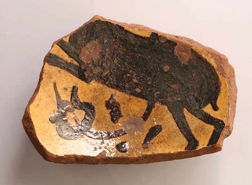 Fragment