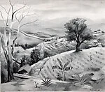Taxco, Dry Season