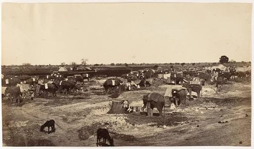 [Hatti Kana-The Elephant Camp]