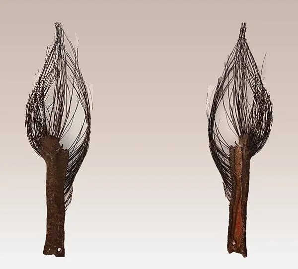 Elephant Tail Beater — Unknown