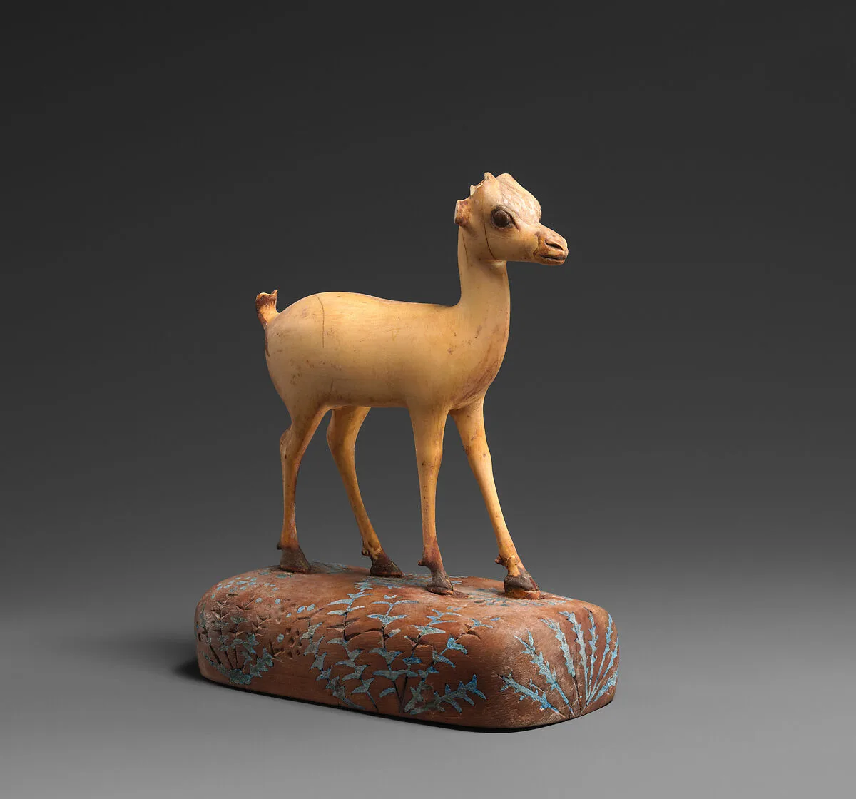 Gazelle — Unknown