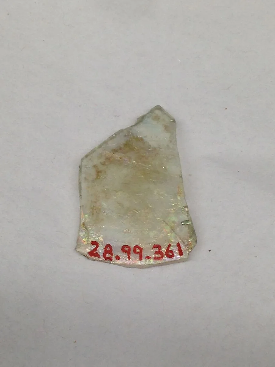 Fragment — Unknown