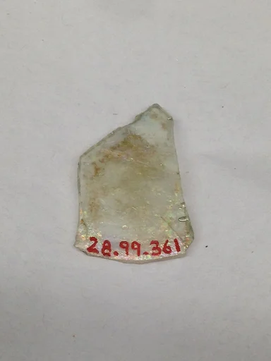 Fragment