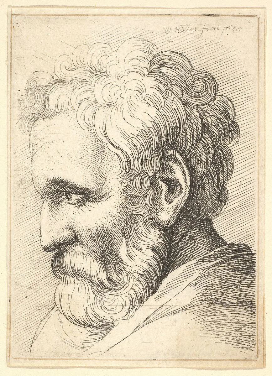 Bearded old man — Wenceslaus Hollar