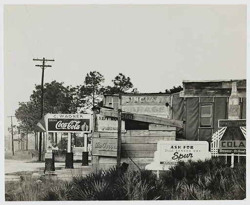 Florida Roadside