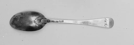 Spoon