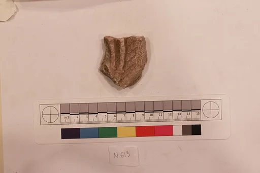 Stucco Fragment