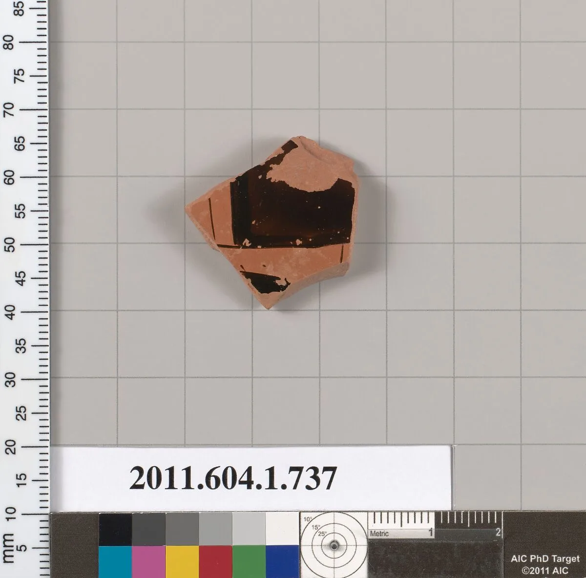 Terracotta fragment of a kylix (drinking cup) — Unknown