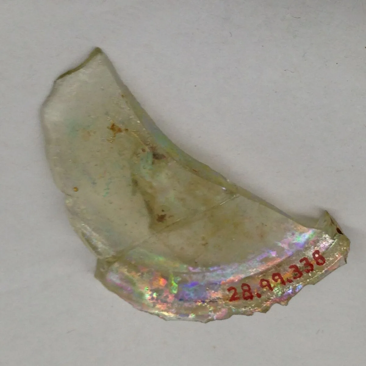 Fragment — Unknown