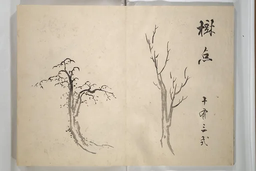 『大雅堂画譜』|Taigadō (Taiga Hall at Sōrinji Temple) Picture Album (Taigadō gafu) 大雅堂画譜