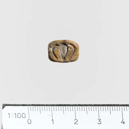 Seal, amygdaloid
