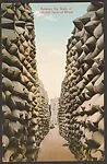 Between the Walls of 100,000 Sacks of Wheat