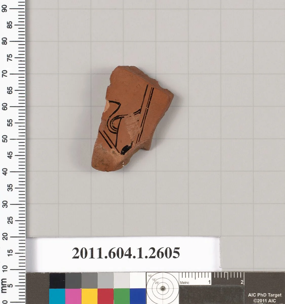 Terracotta fragment of a kylix (drinking cup) — Unknown