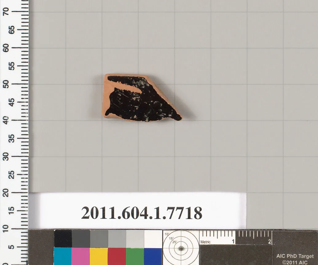 Terracotta fragment of a kylix (drinking cup) — Unknown