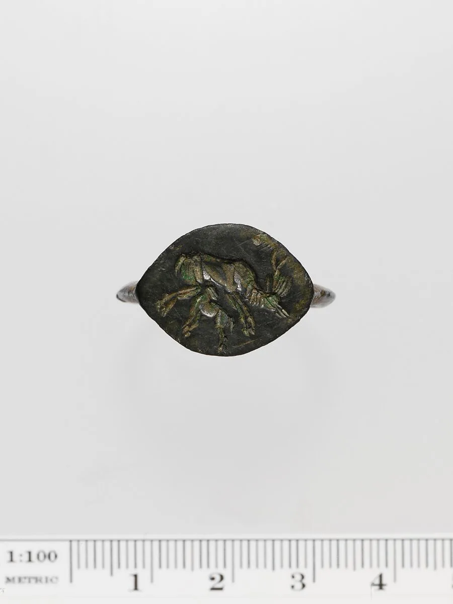 Bronze ring — Unknown