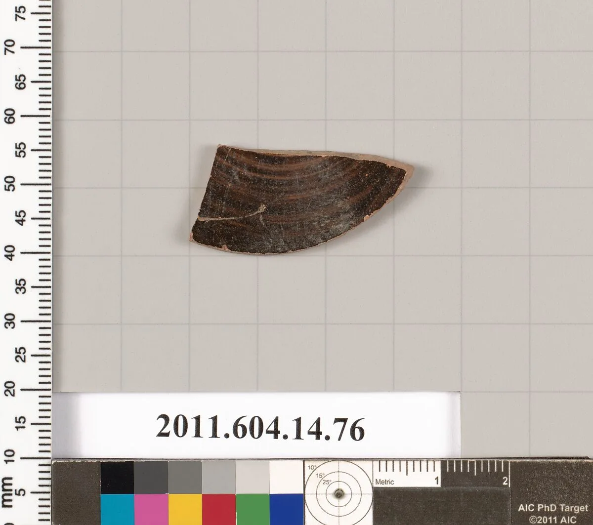 Terracotta fragment of a kylix (drinking cup)? — Unknown