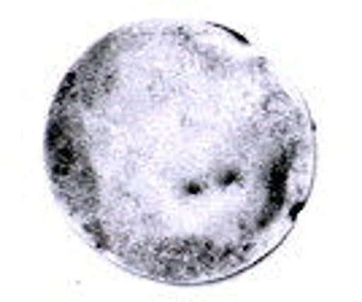 Disk ornament
