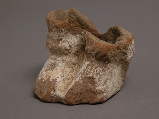 Feet Fragment