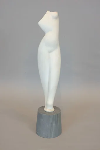 Female Torso