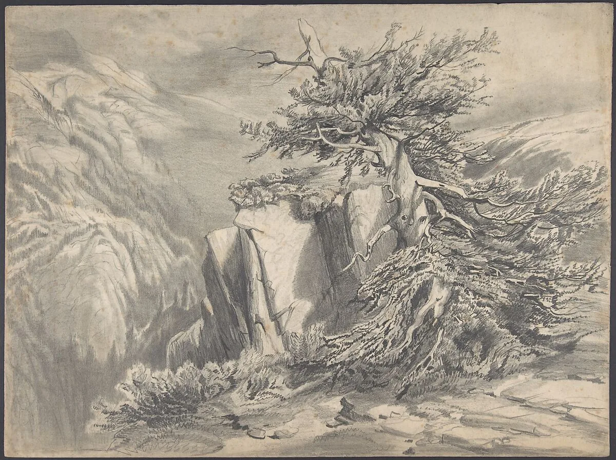 Broken Tree in Moutainous Landscape — Alexandre Calame