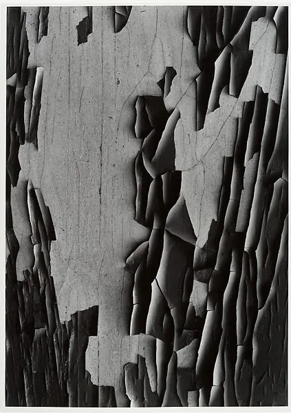 Jerome, Arizona 20 — Aaron Siskind