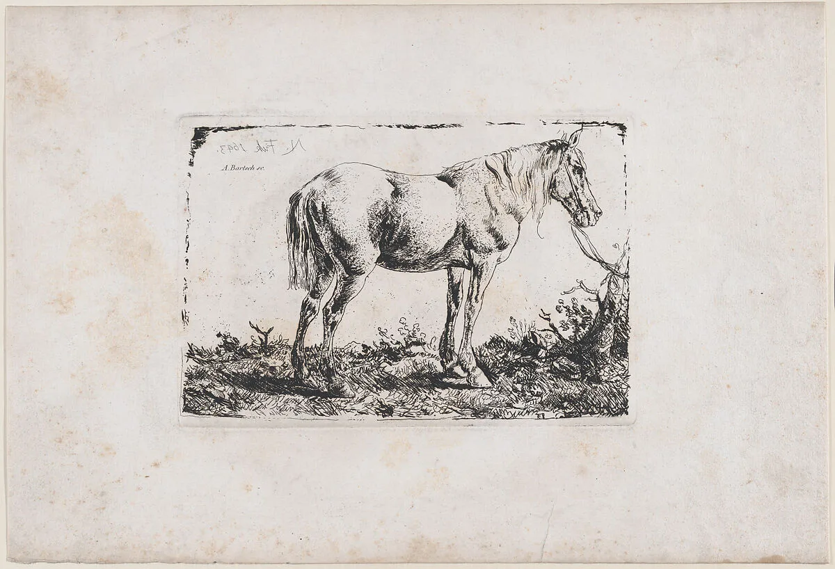 Horse Standing — Adam von Bartsch|Philips Wouwerman|Nicolaas Ficke