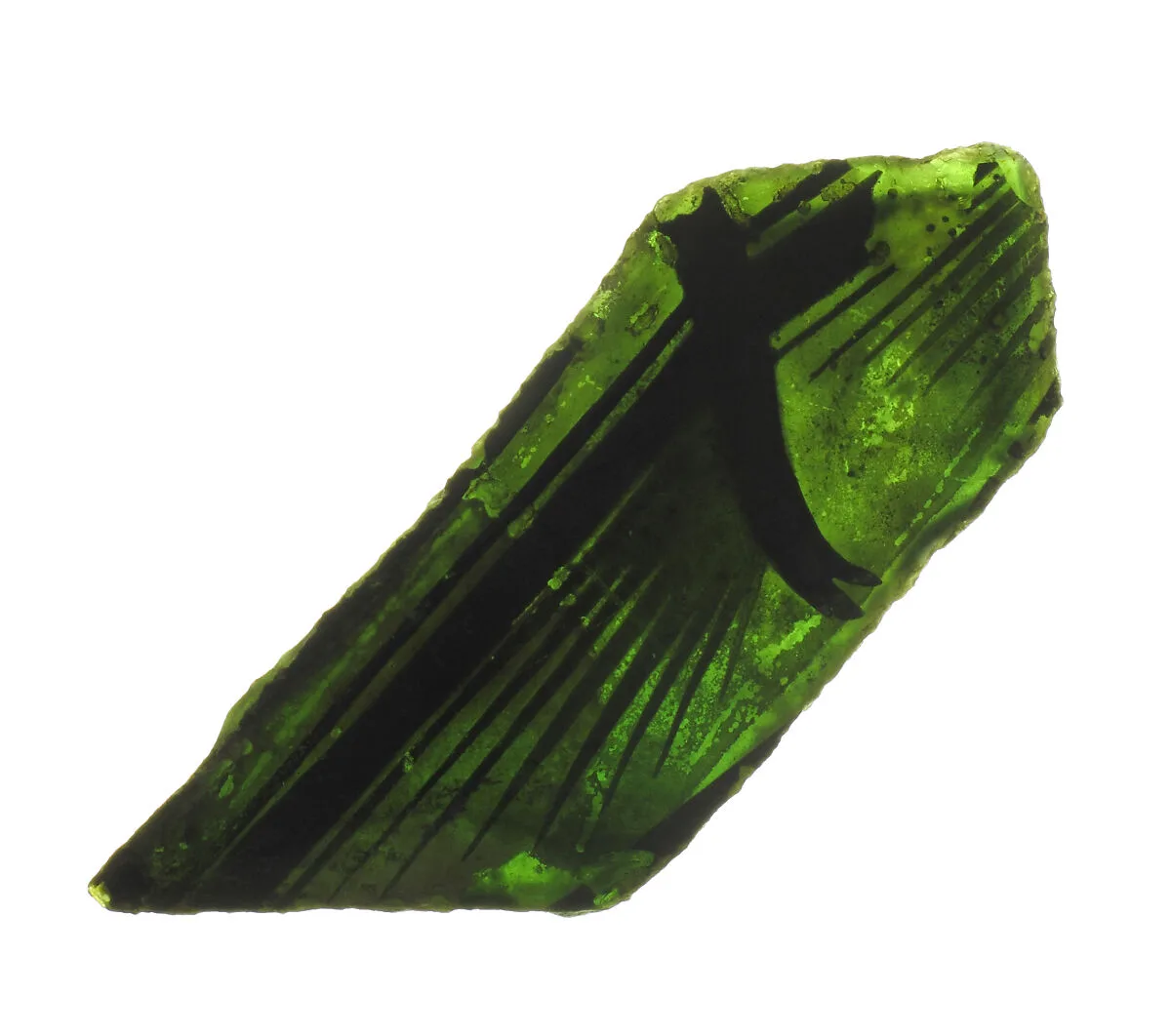 Glass Fragment — Unknown