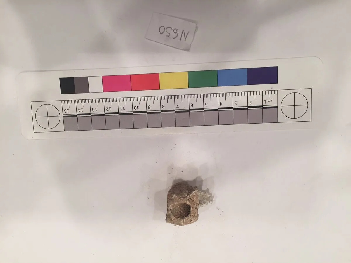Stucco Fragment — Unknown