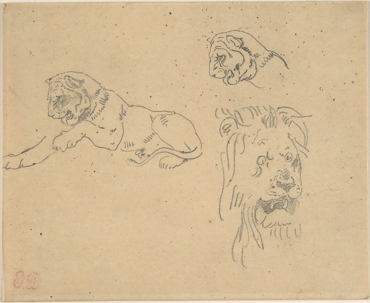 Three Studies of a Lion — Eugène Delacroix