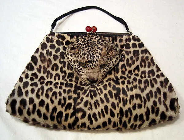 Accessory set — Unknown