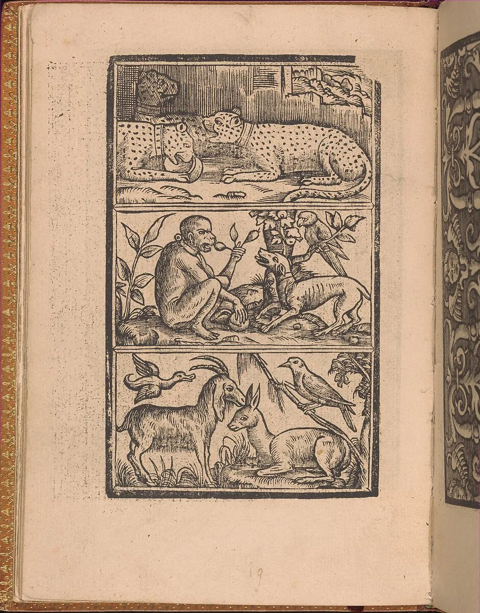 Convivio delle Belle Donne, page 11 (verso) — Nicolò Zoppino|Matteo da Treviso