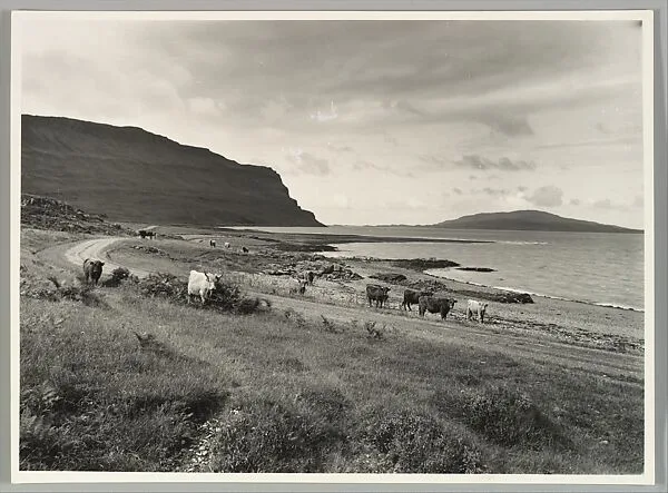 Loch Na Keal, Mull, looking to the Gribun Rocks — Robert Moyes Adam