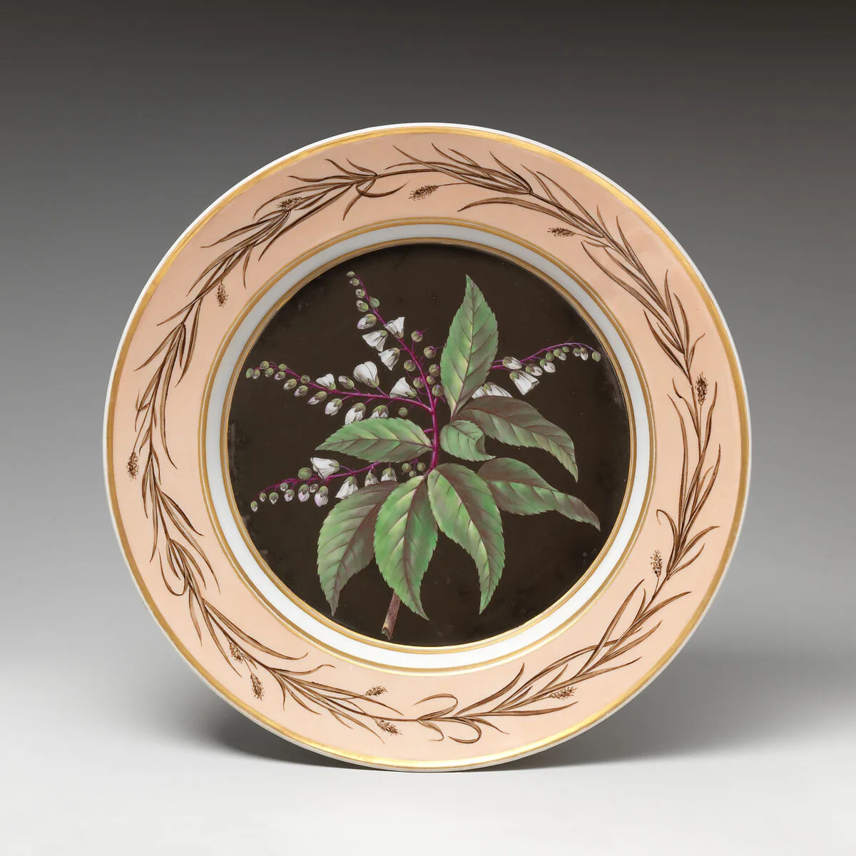 Plate with Lily of the Valley Tree (Clethra arborea) — Etienne Pierre Ventenat|Johann Friedrich Schultze|Royal Porcelain Manufactory (Königliche Porzellan-Manufaktur), Berlin