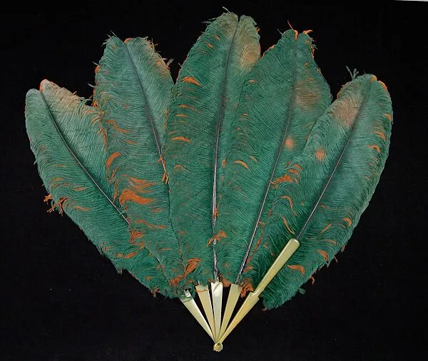 Fan — Unknown