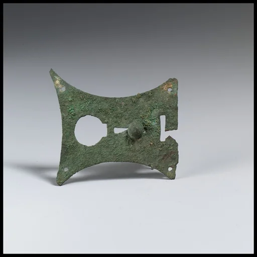 Lock-plate