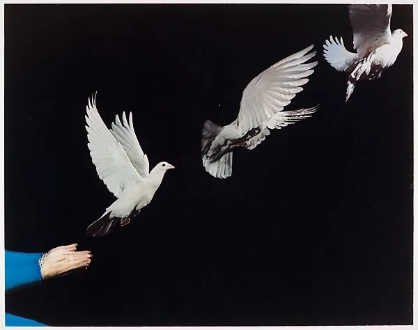 Harold Edgerton: Ten Dye Transfer Photographs — Harold Edgerton